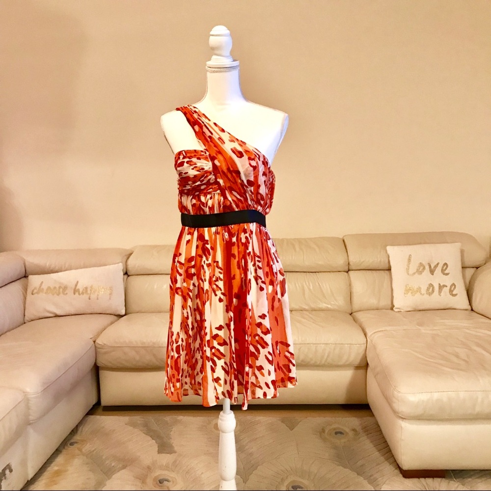 Cynthia Steffe 100% silk dress size 6